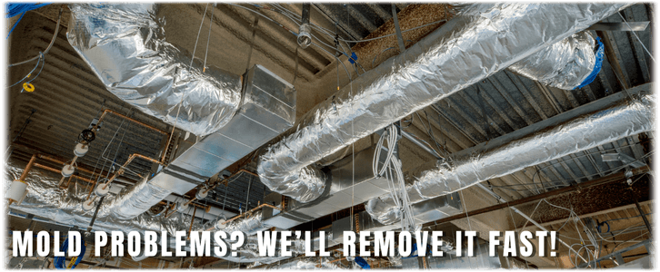 Air Duct Mold Removal